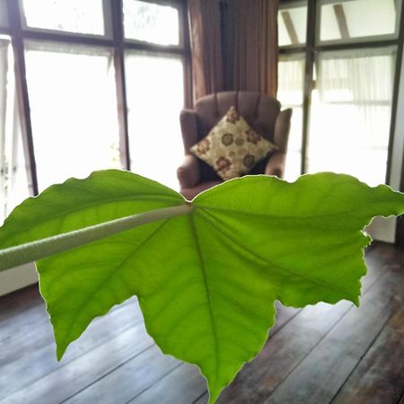Rumah Pakankamih Bukittinggi Dış mekan fotoğraf