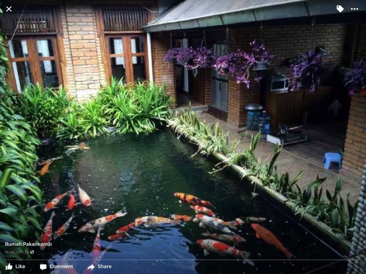 Rumah Pakankamih Bukittinggi Dış mekan fotoğraf