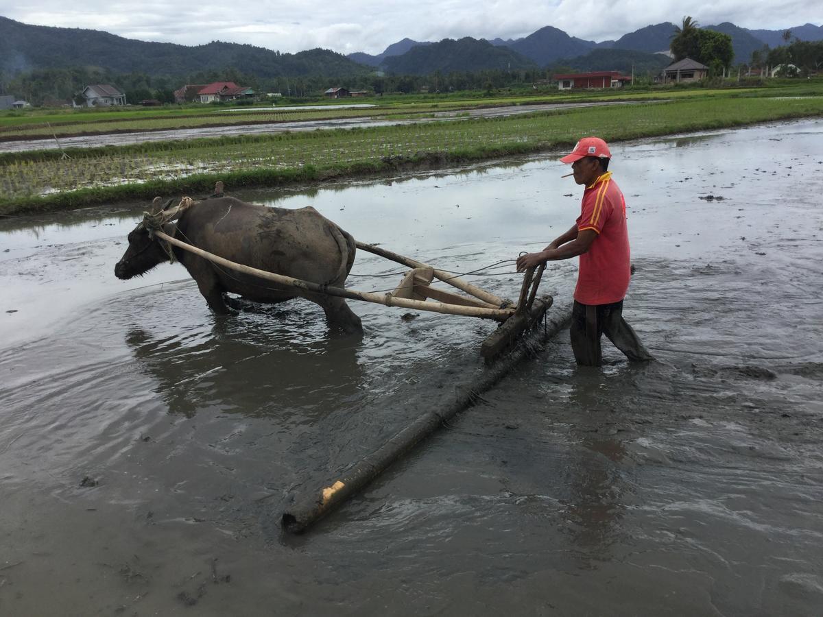 Rumah Pakankamih Bukittinggi Dış mekan fotoğraf