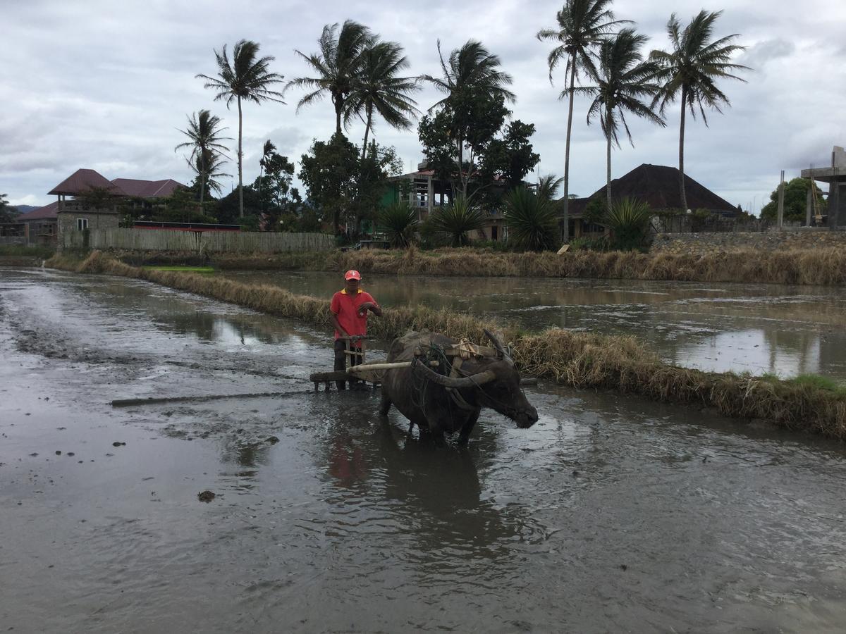 Rumah Pakankamih Bukittinggi Dış mekan fotoğraf